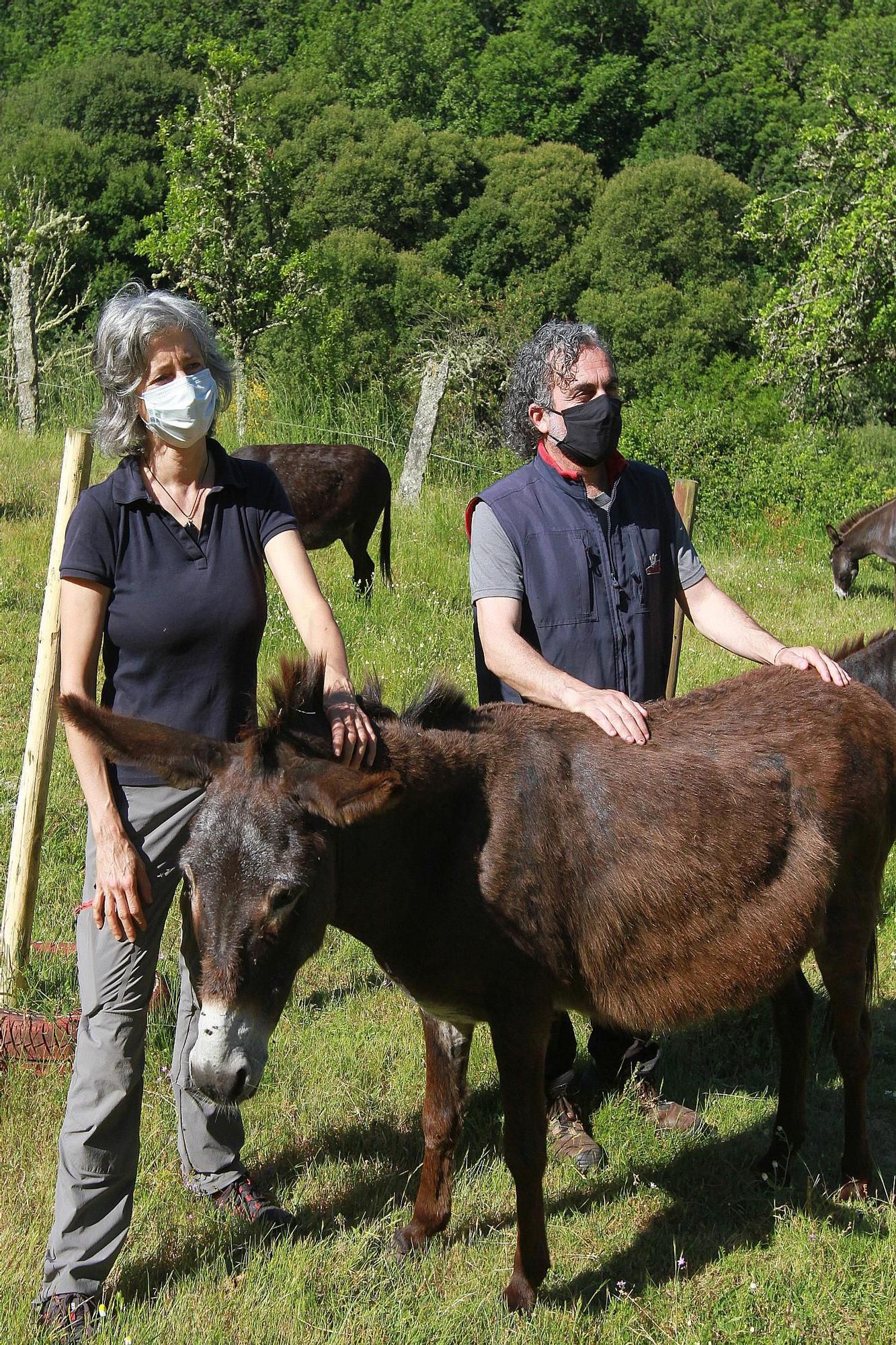 Elsa Pérez, psicóloga, y David Lema, terapeuta, con uno de los burros mayores. // I. OSORIO