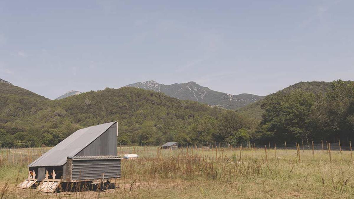 Uno de los hábitats del valle del Muga.