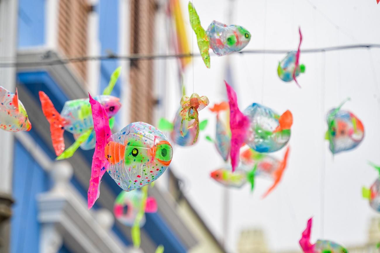 Peces en la calle Cano