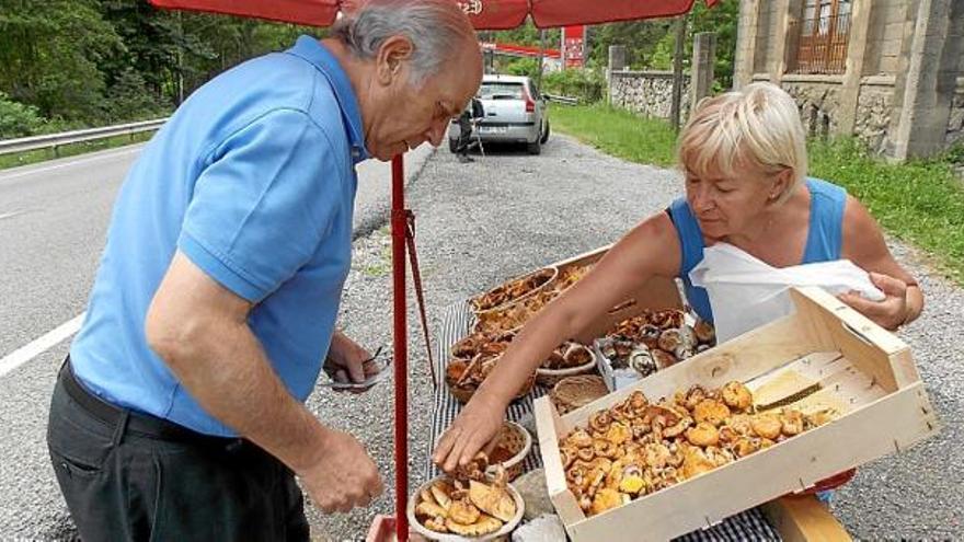 Parada de bolets a la C-16 a l&#039;altura de Guardiola, l&#039;estiu passat