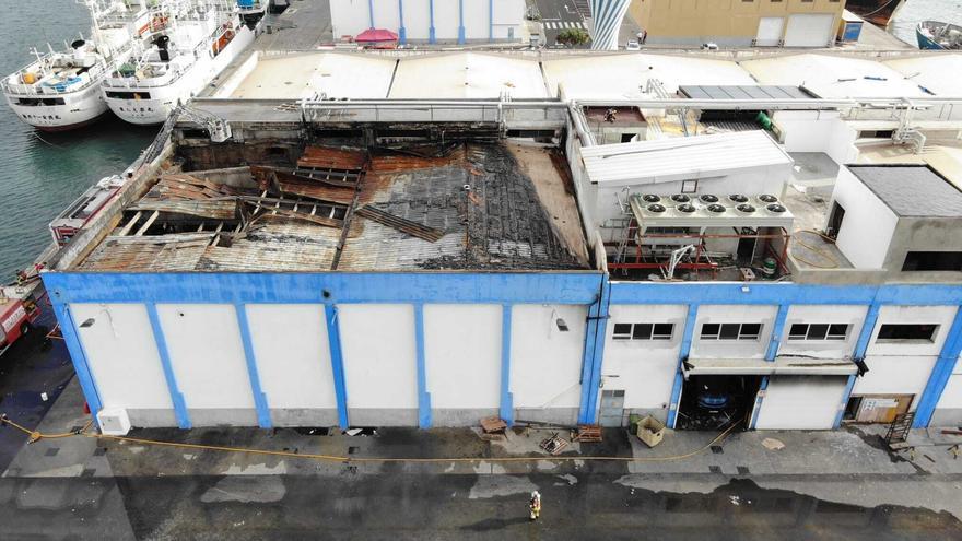 El olor a pescado podrido obliga a cerrar al pasaje el muelle Santa Catalina