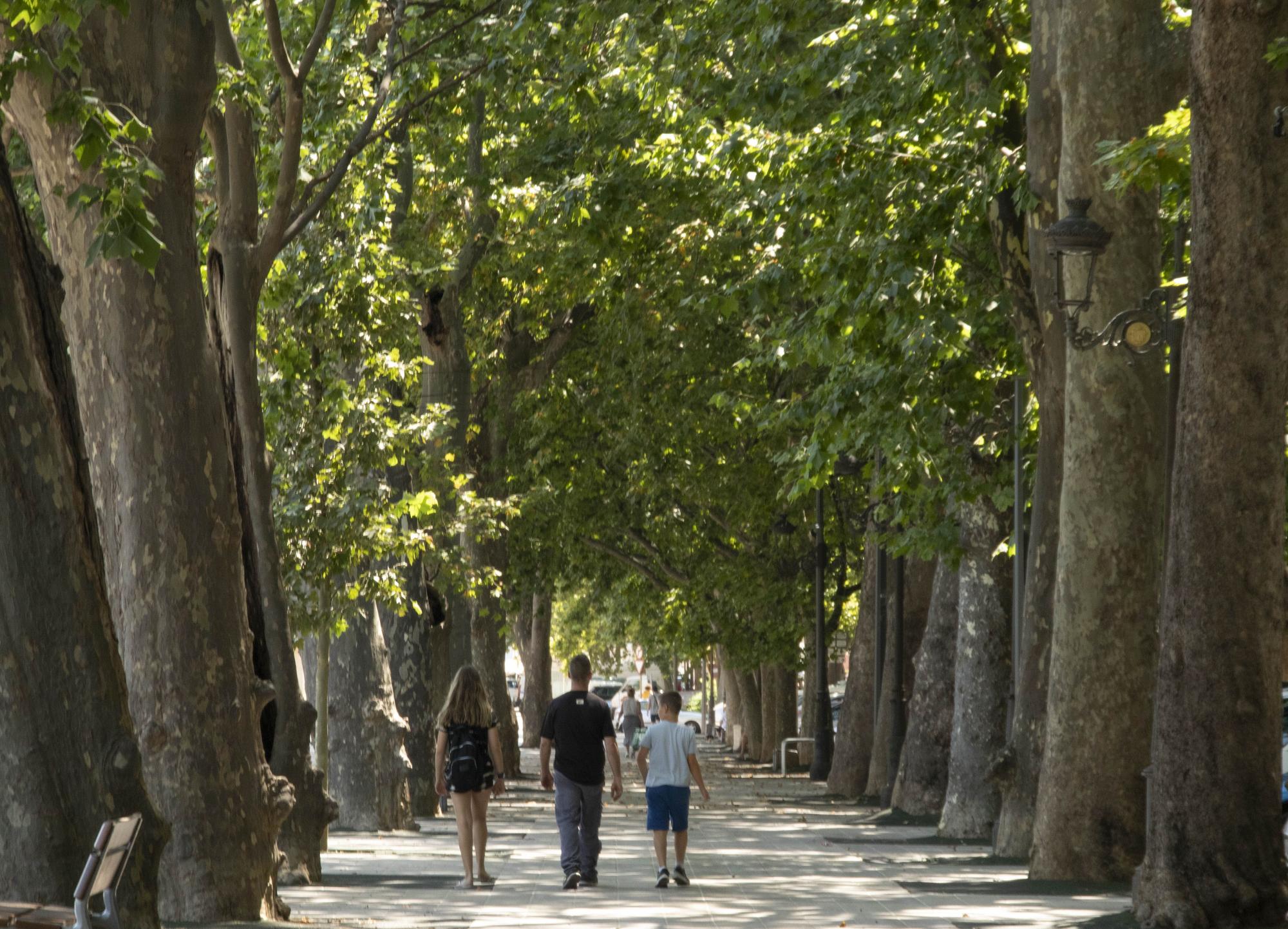 La ola de calor se deja sentir en la Costera, la Vall d'Albaida y la Canal