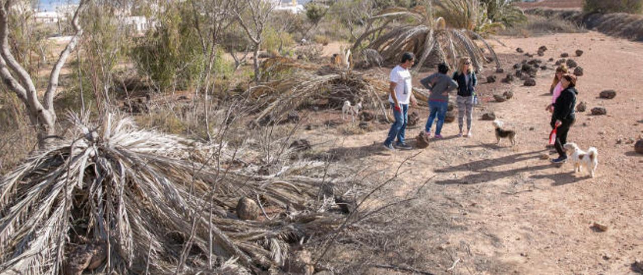 Los vecinos denuncian el abandono de la zona del futuro parque de la capital