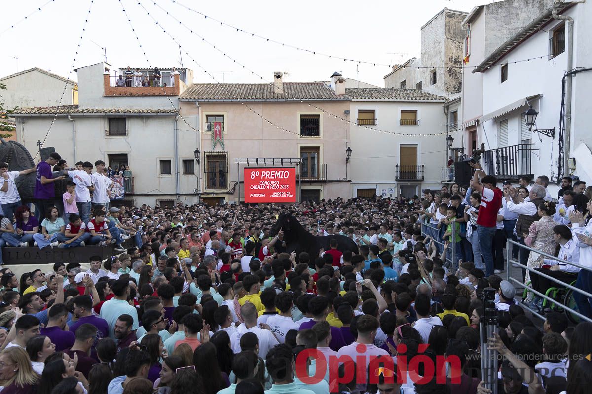 Fiestas de Caravaca | Entrega de premios del concurso morfológico