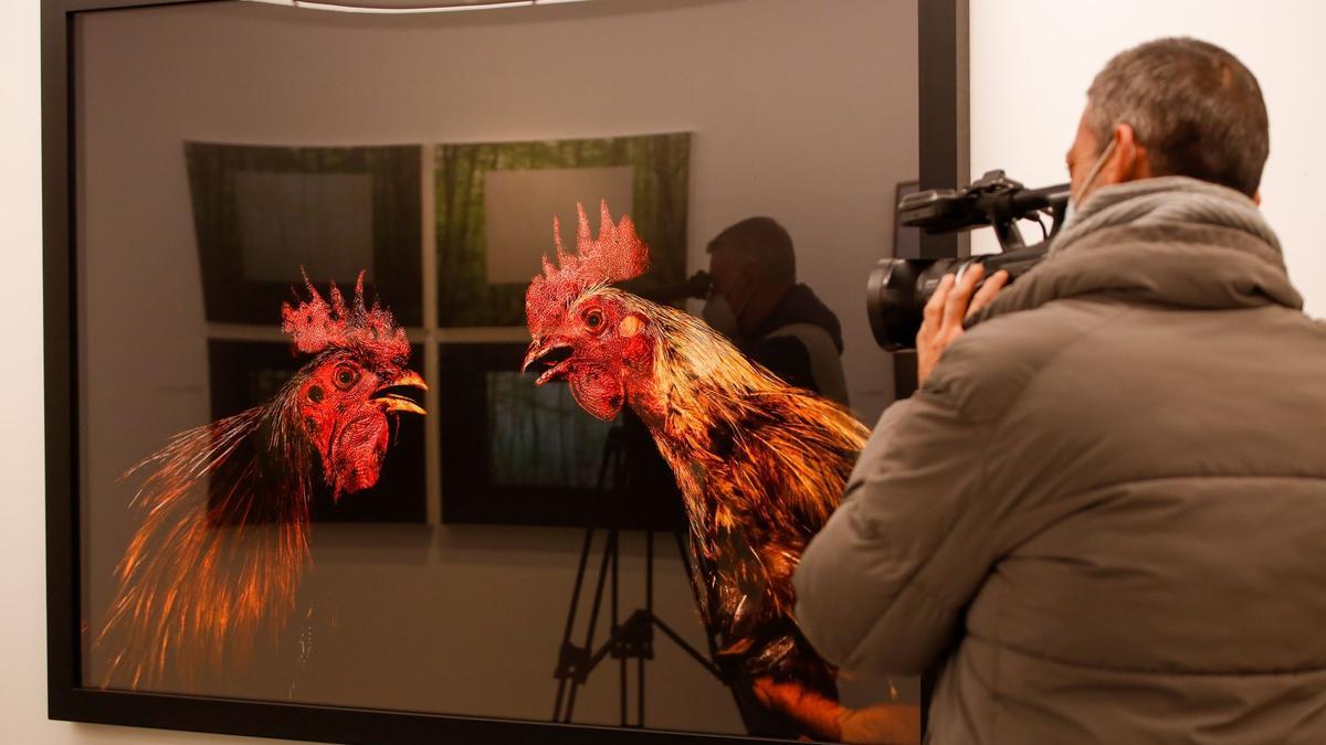 Una de las obras finalistas que forman parte de la exposición.