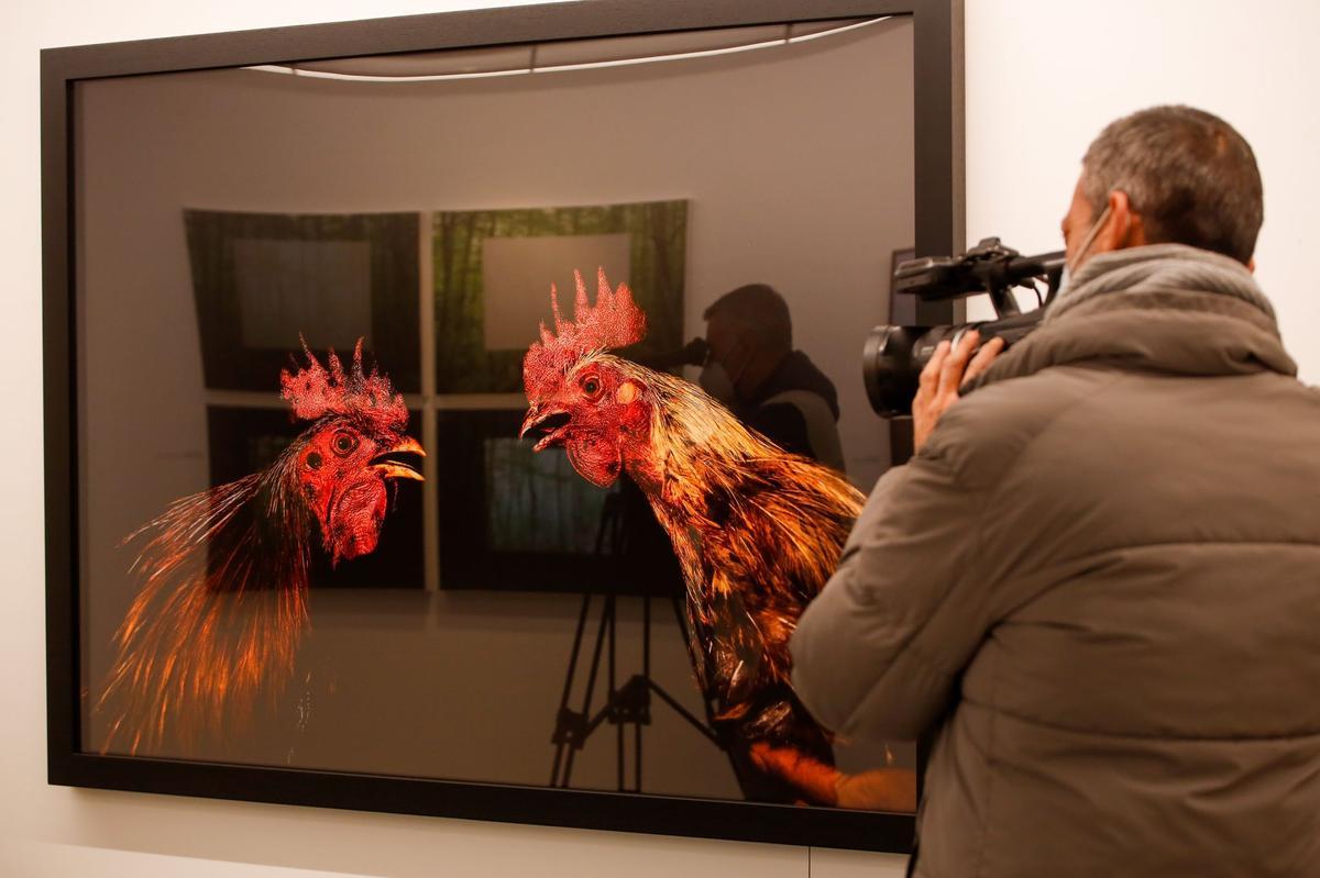 Una de las obras finalistas que forman parte de la exposición.