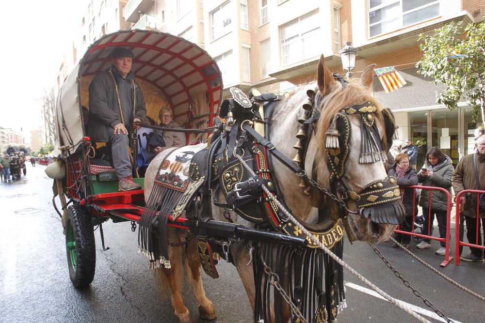 Sant Antoni en Valencia 2017