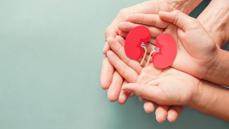 Nueve de cada diez familias consienten la donación de órganos tras perder a un ser querido