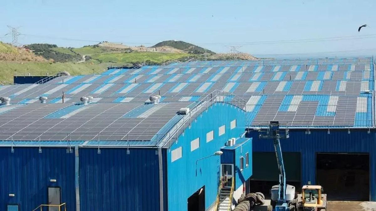 Las algas se almacenan en el Complejo Ambiental Costa del Sol.
