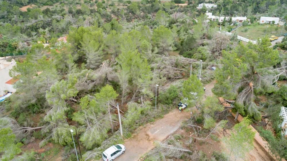 La palabra que más empleaban vecinos y curiosos para describir el paisaje era «guerra»