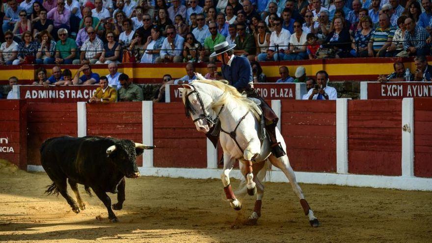 Rejones en la plaza de toros de Plasencia, que gestionará Ceber Tauro.