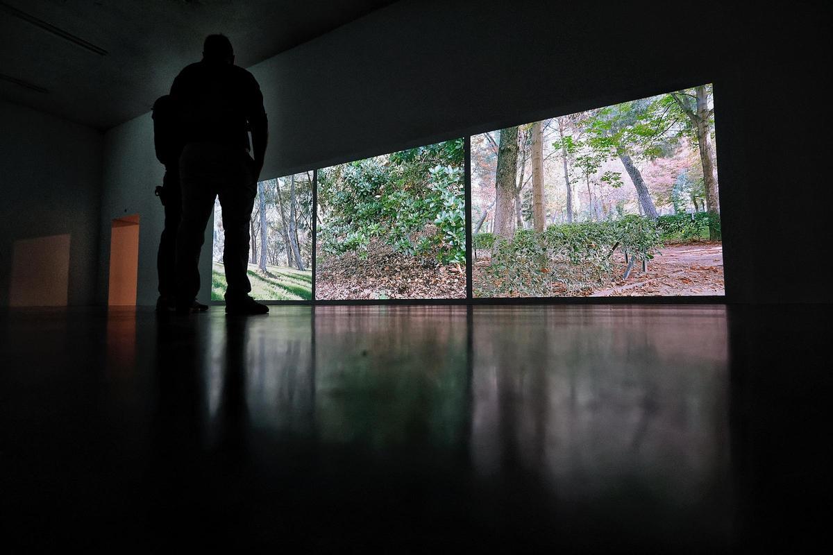 Una de las proyecciones en TEA.