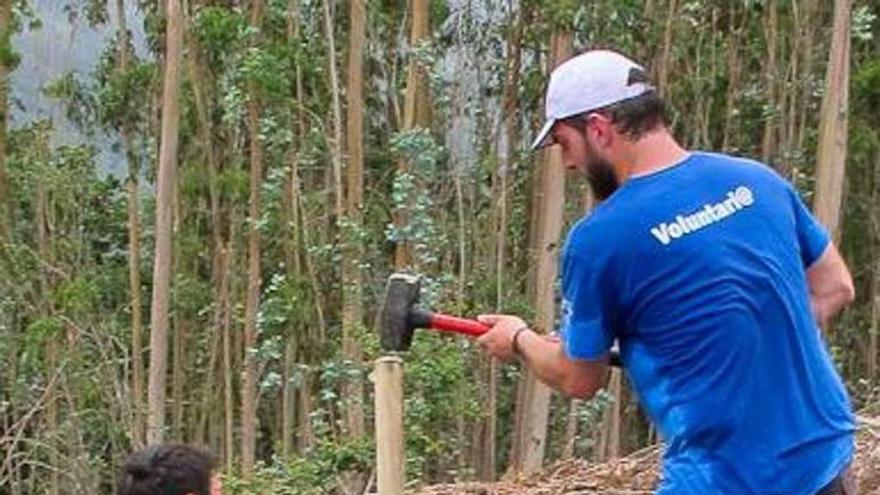 Voluntarios en labores de erradicación de eucaliptos en la zona.