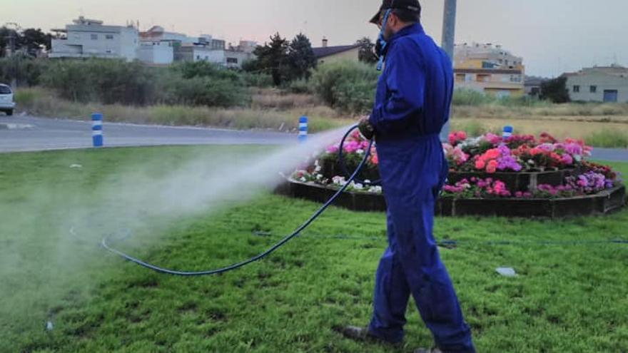 La Ribera exige a Sanitat que actúe por la &quot;grave&quot; plaga de mosca negra