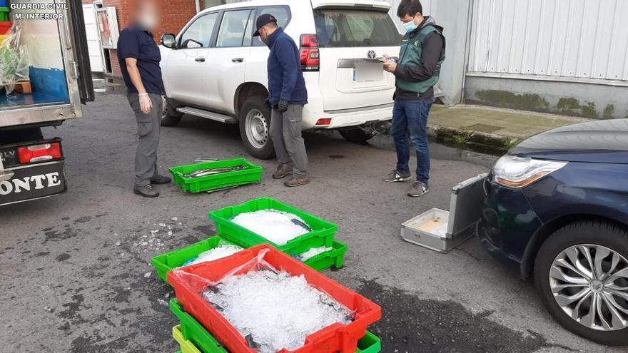 El pescado incautado por la Guardia Civil.