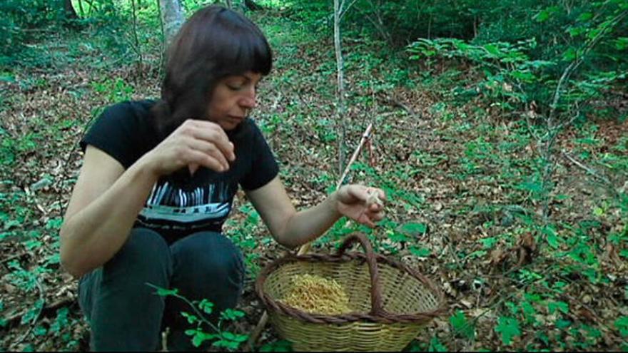 TV3 La cuinera Fina Puigdevall busca bolets a la Garrotxa