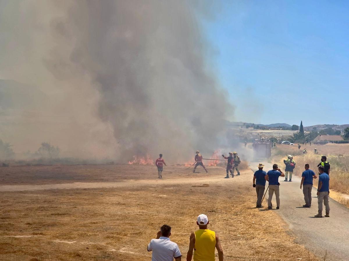 Las imágenes del incendio declarado en el cauce del río Vinalopó en pleno casco urbano de Sax Las imágenes del incendio declarado en el cauce del río Vinalopó en pleno casco urbano de Sax