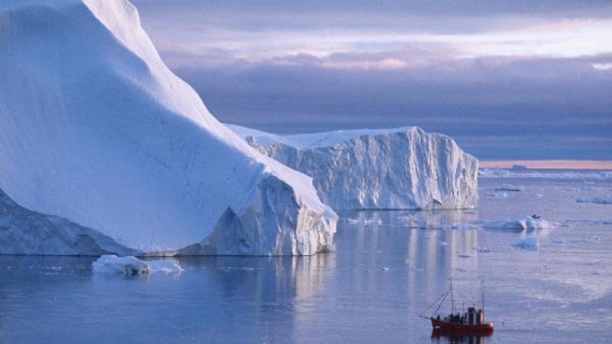 Groenlandia, el reino helado del oso polar