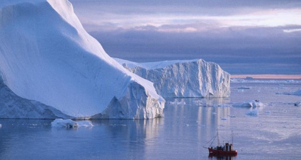 Groenlandia, el reino helado del oso polar