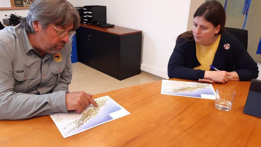 Brigadas de voluntarios colaboran para reabrir las rutas senderistas en la Serra de Tramuntana