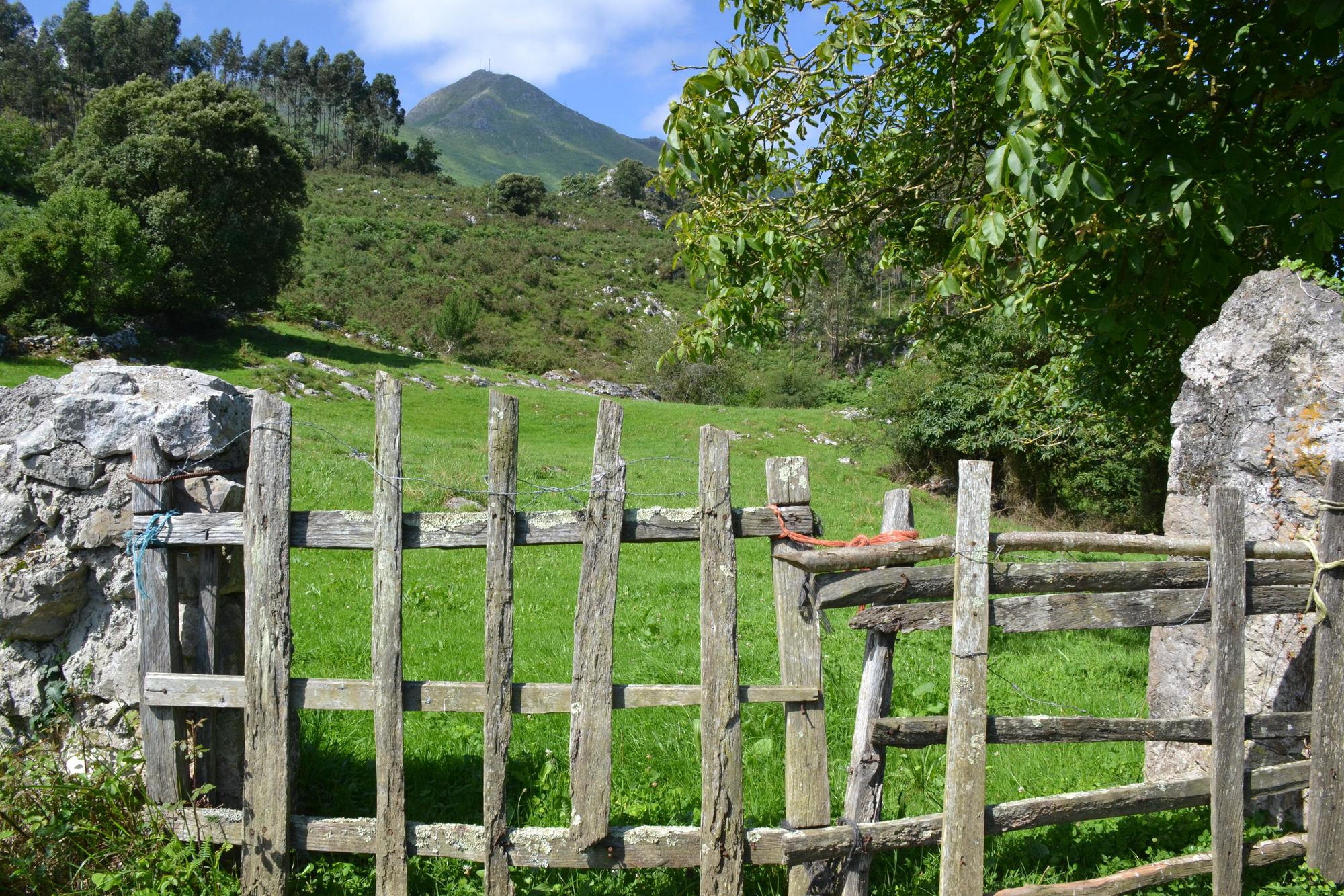 De ruta por Porrúa: siete kilómetros de  postal de la Asturias rural