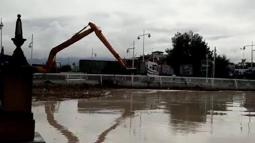 El río Segura, a punto de desbordarse a su paso por La Fica