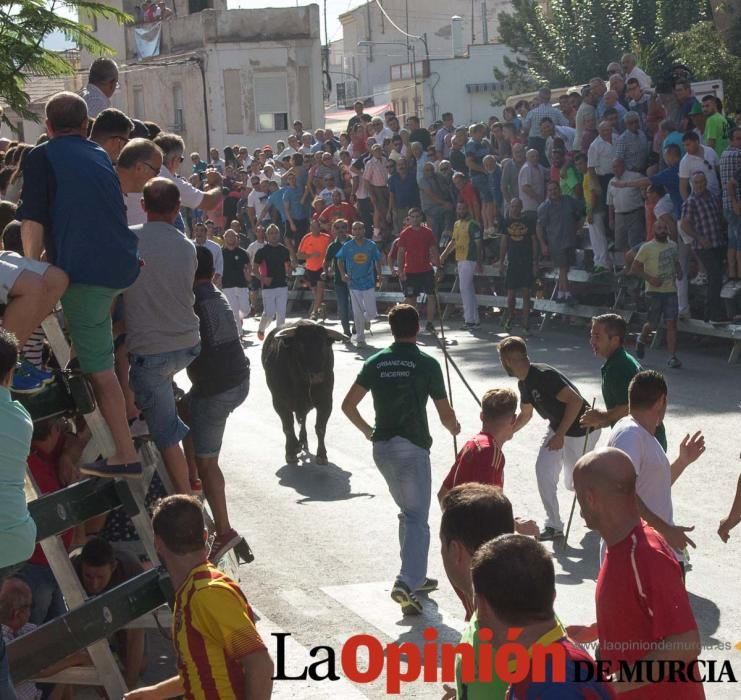 Primer encierro de Calasparra