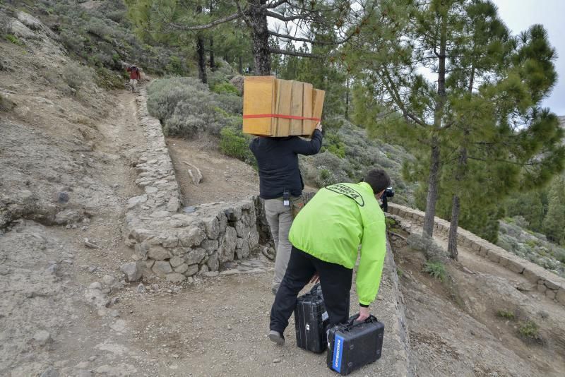 07/03/2019 ROQUE NUBLO, TEJEDA. Equipo del rodaje de The Witcher, la serie de Netflix en la Cumbre de Gran Canaria. FOTO: J. PÉREZ CURBELO  | 07/03/2019 | Fotógrafo: José Pérez Curbelo