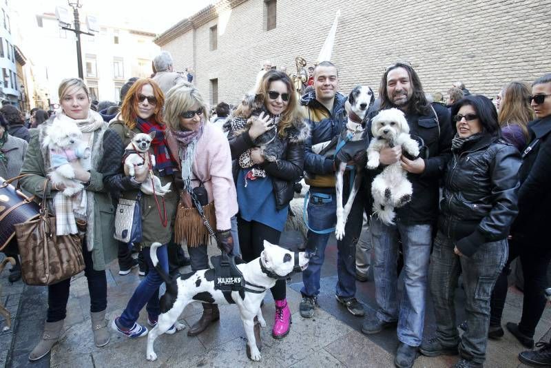 Fotogalería: Fiesta de San Antón