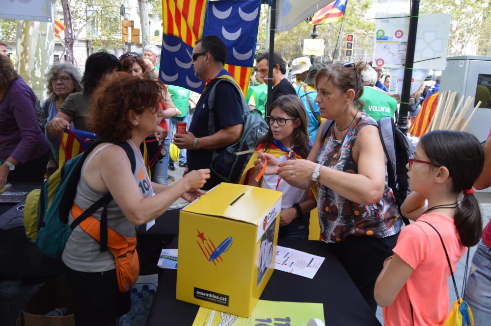 Berguedans a la concentració de la Diada