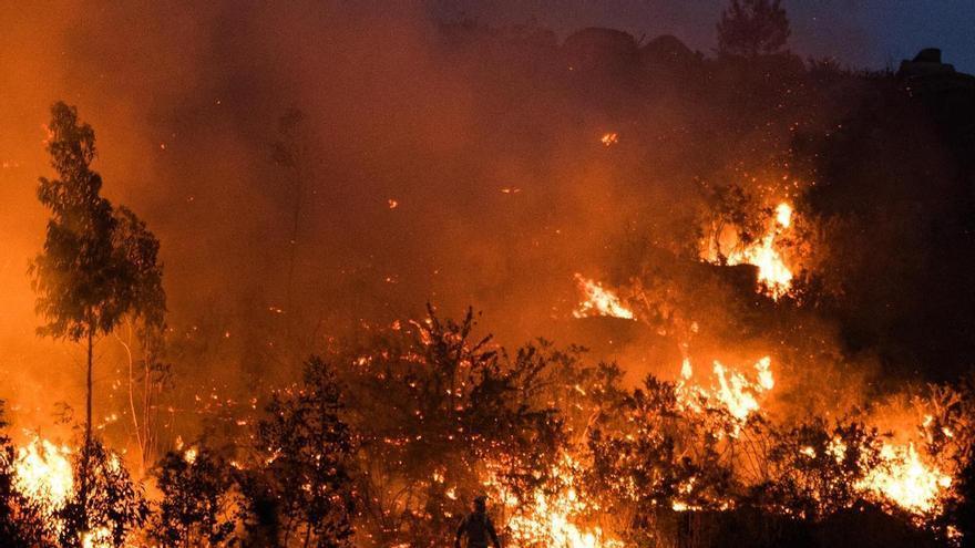 cide ya el fuego del verano en Galicia: el suelo guarda agua, pero la maleza es combustible