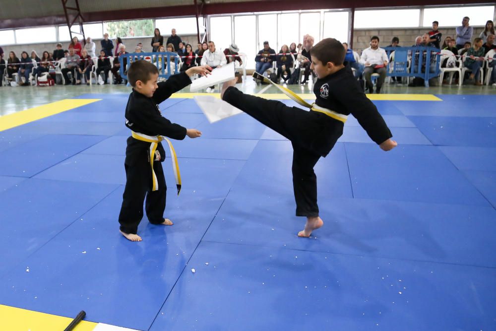 Campeonato regional de hapkido