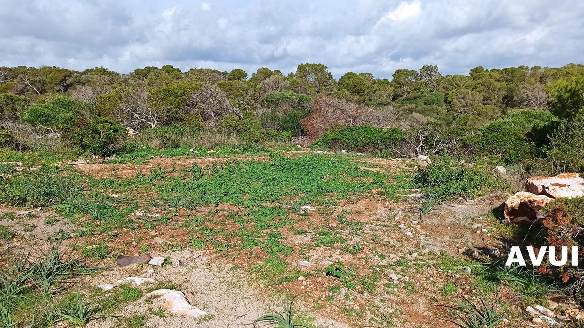 El terreno, una vez acometido el derribo.