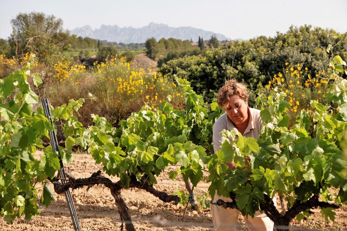 50 Viticultores del Penedès