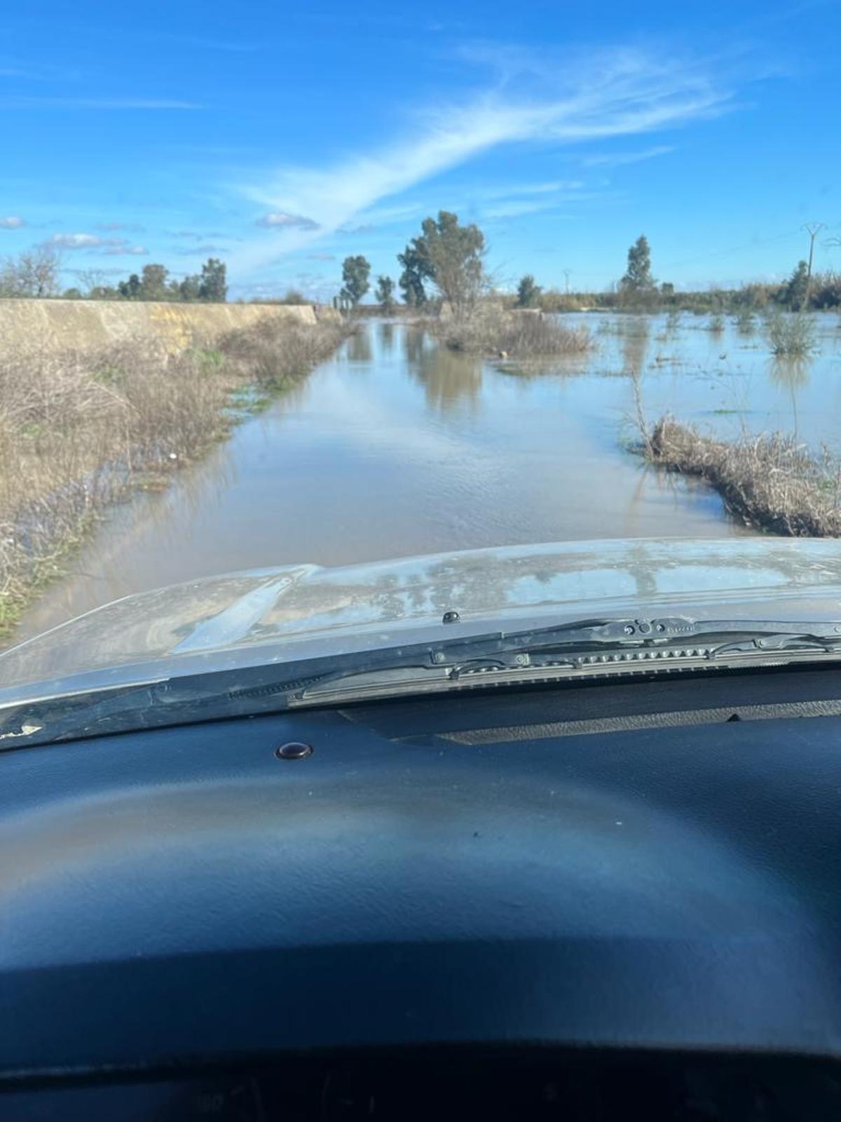 Fotogalería | Cultivos anegados en fincas de Mérida por la sucesión de borrascas