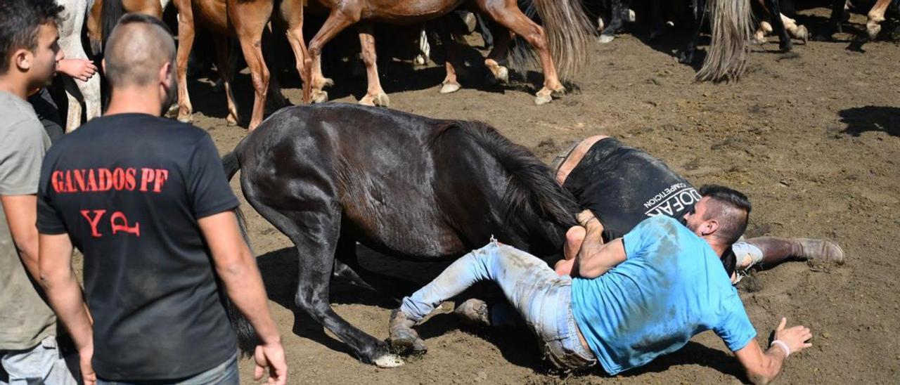 Dos aloitadores derriban a una de las bestas