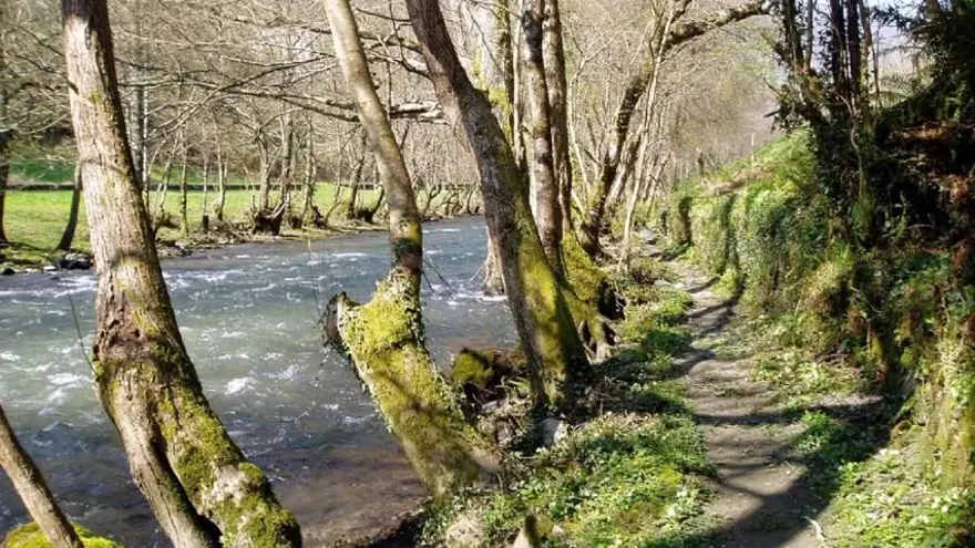 La Senda del Oro: la ruta circular que va al lado del río Ibias y que encuentra antiguas minas romanas