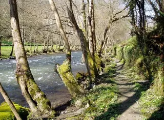 La Senda del Oro: la ruta circular que va al lado del río Ibias y que encuentra antiguas minas romanas