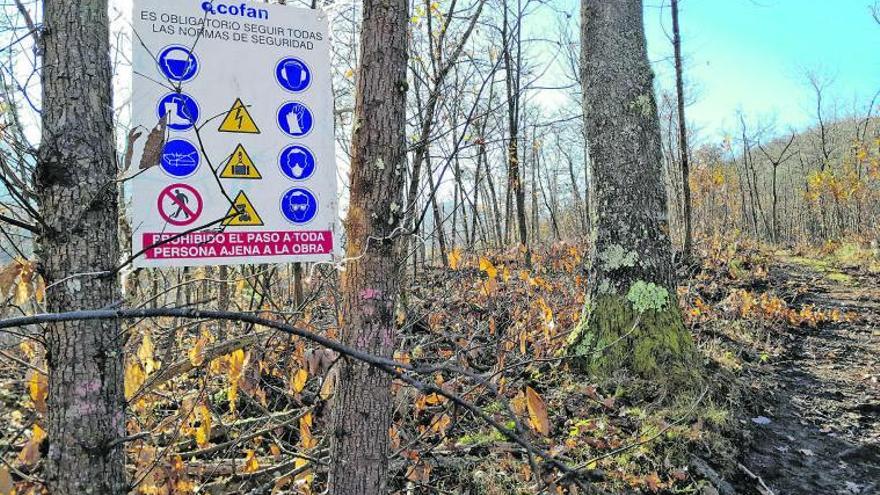 Cartel de obras entre árboles en el «Castañeru montés», en Sobrescobio. | L. M. D.