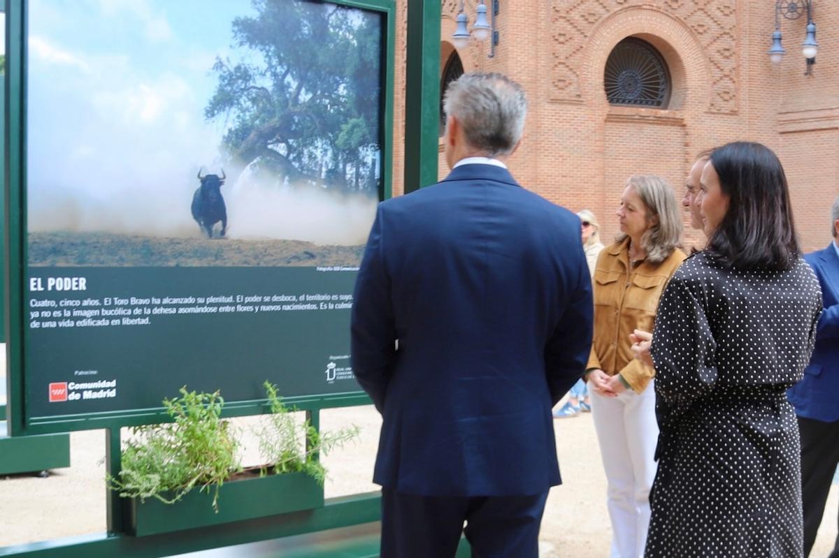 Carlos Novillo, Lucía Martín y Cayetana Hernández de la Riva, durante el acto inaugural de la exposición Toro Bravo, el guardián de la biodiversidad en la plaza de toros de Las Ventas.