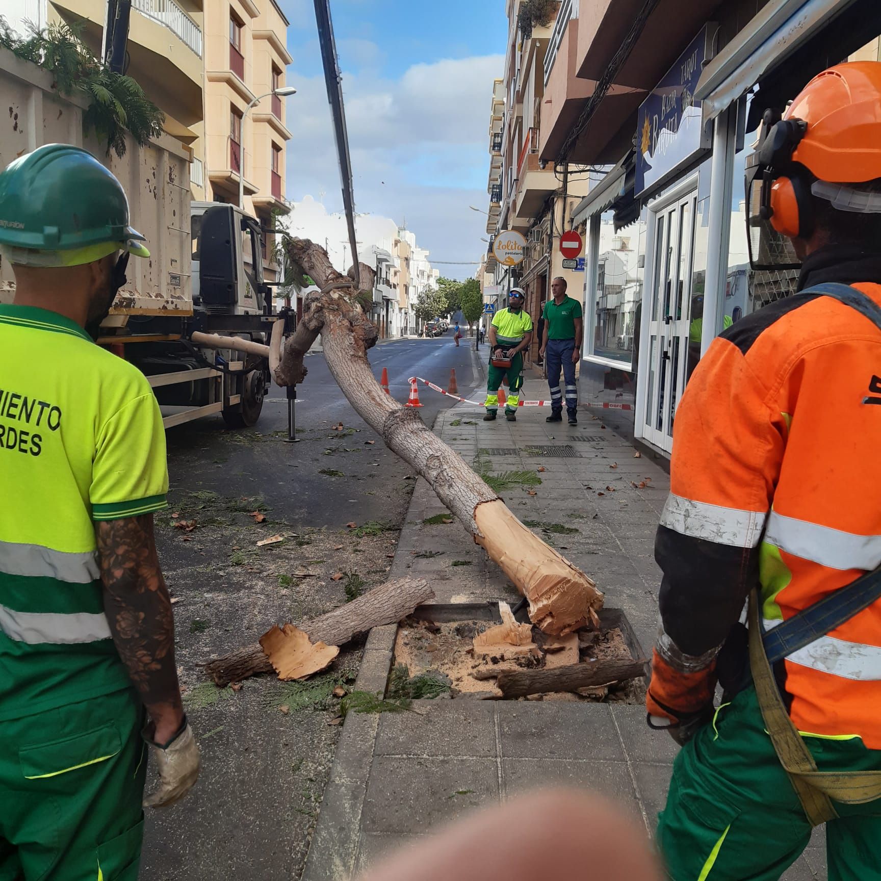 Talan un árbol tras el impacto de un camión en Arrecife