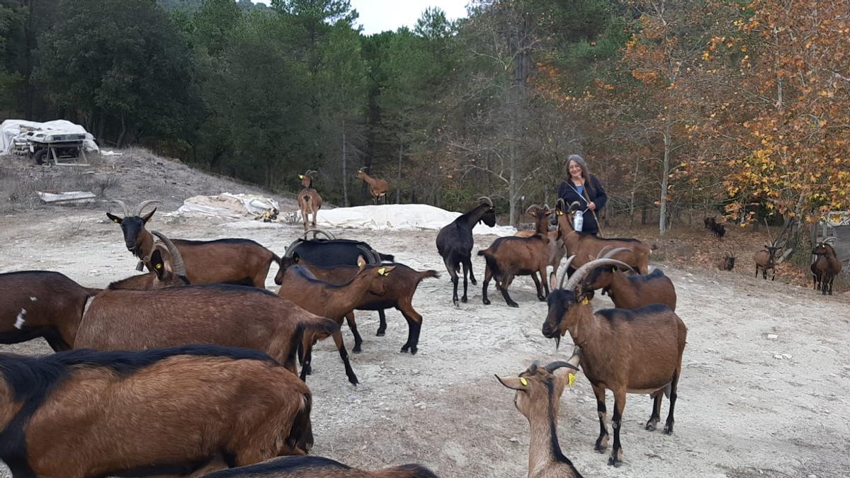 Paloma Datzira amb les seves cabres a la finca de la Vall de Marfà