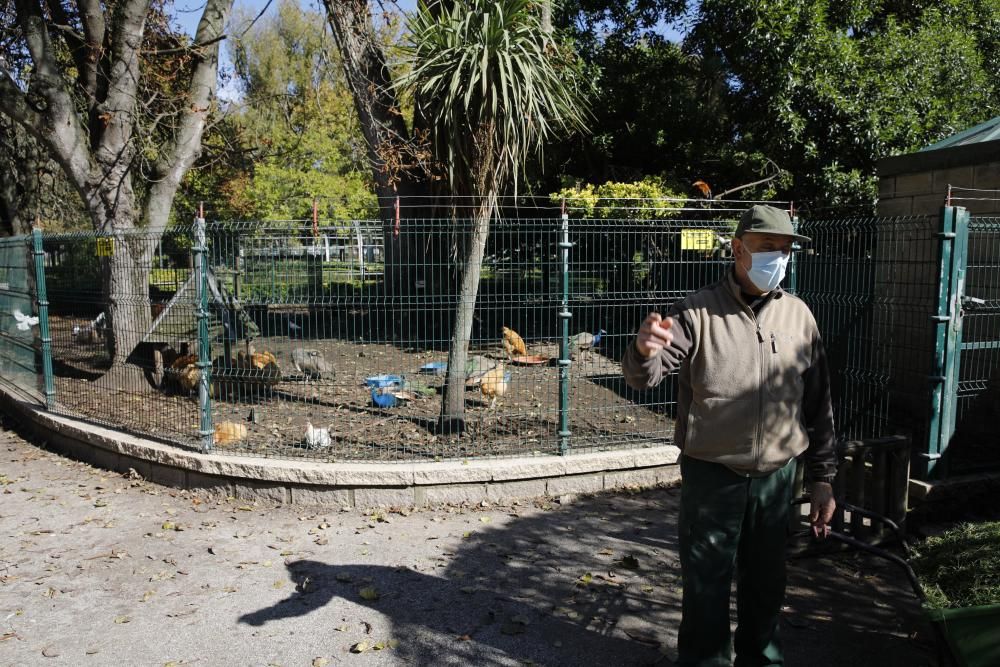 El parque Isabel la Católica supera las 600 aves