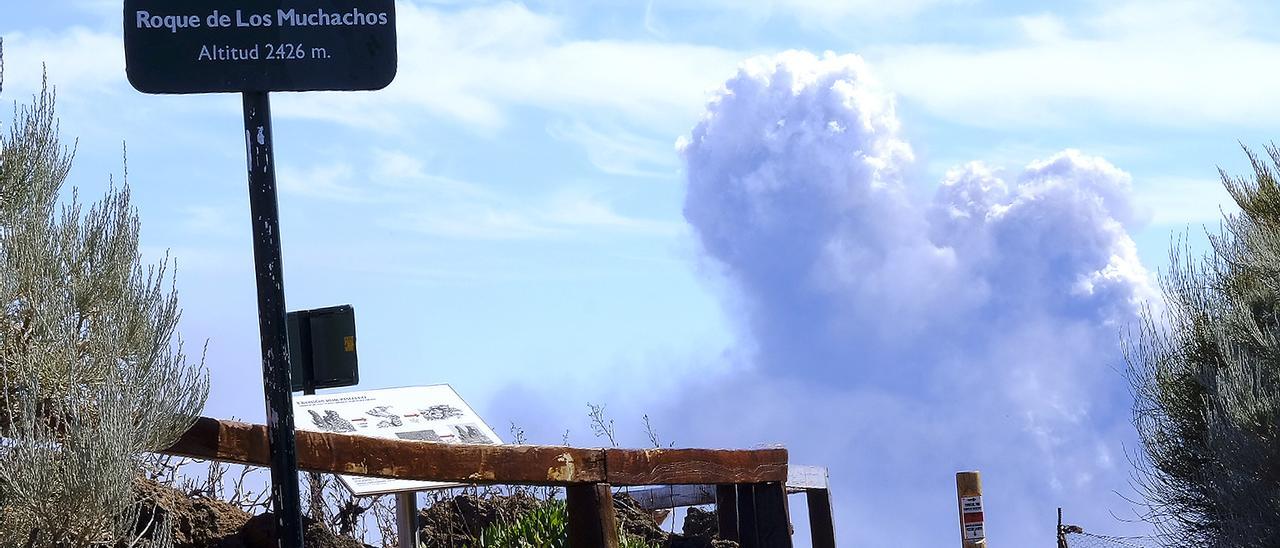 La colada norte muestra su curso destructivo a vista de dron