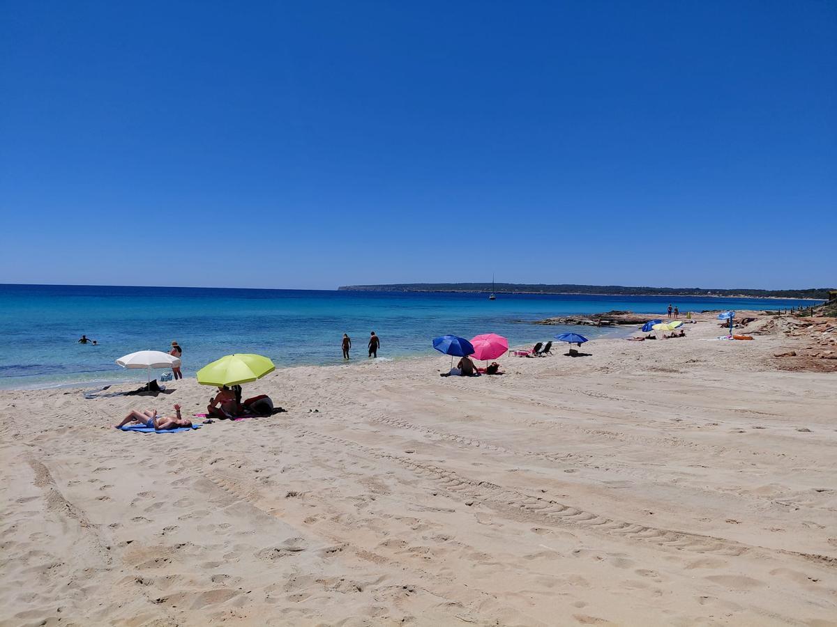 Tramos de Migjorn, en Formentera, sin hamacas ni sombrillas el pasado mes de junio.