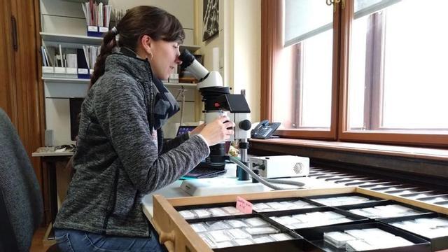 Blanca Moncunill, en el laboratorio. | LOC