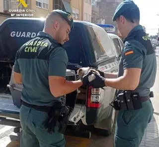 La Guardia Civil rescata a un gato atrapado en el motor de su coche de camino a Benicarló