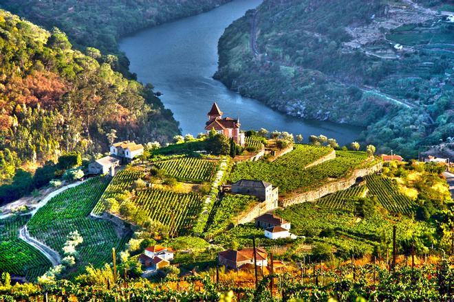 Viñedo, Portugal