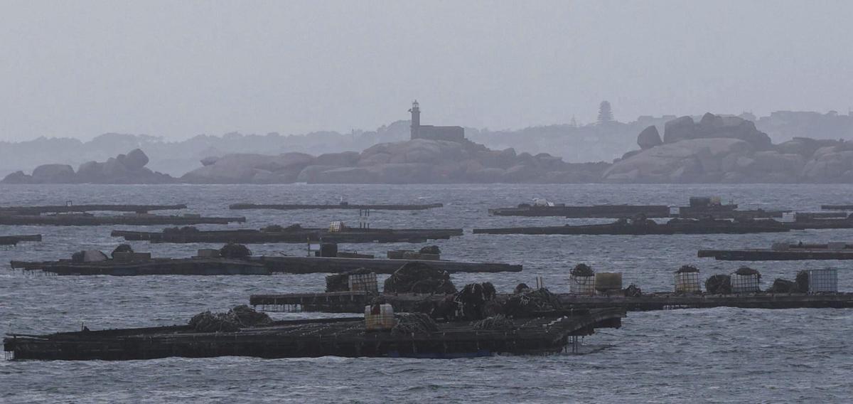 Bateas en la ría de Arousa. | FDV