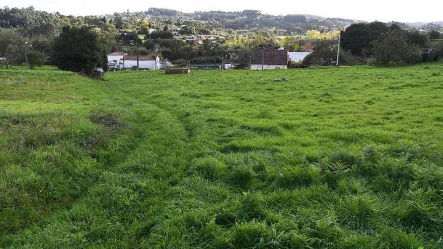 Vista de la finca Tenreiro, en Cela, suelo que se barajó para la construcción del local social.